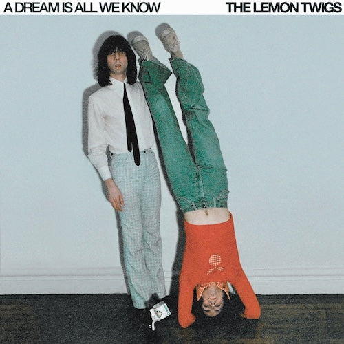 Lemon Twigs - A Dream Is All We Know - Ice Cream Color Vinyl