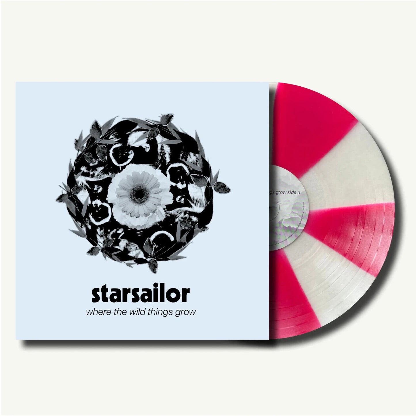 Starsailor - Where The Wild Things Grow - Pinwheel Red and Transparent Color Vinyl Record