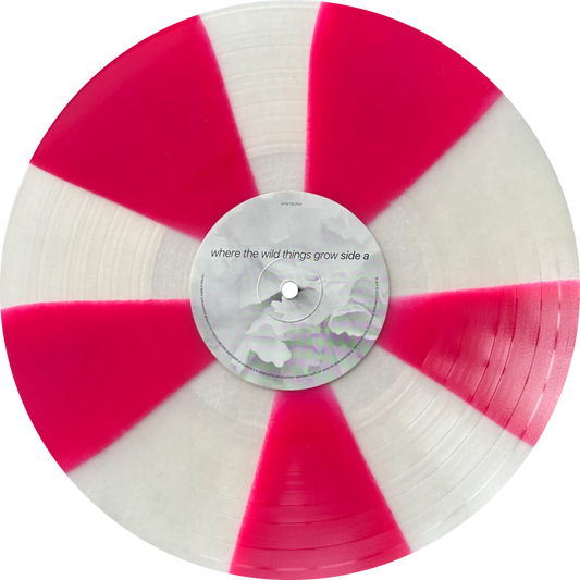 Starsailor - Where The Wild Things Grow - Pinwheel Red and Transparent Color Vinyl Record