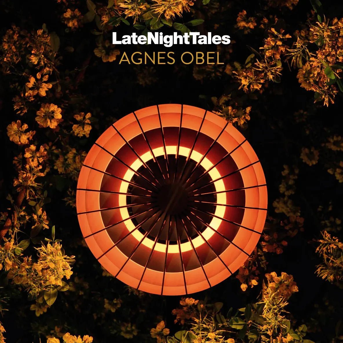 Agnes Obel - Late Night Tales - Vinyl Record
