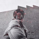 Aldous Harding - Warm Chris - Vinyl Record LP rockit-t-shirts.myshopify.com #Indie_Vinyl_Den#