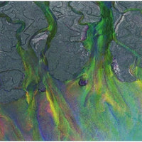 Alt-J - An Awesome Wave - Vinyl Record * rockit-t-shirts.myshopify.com #Indie_Vinyl_Den#