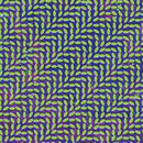 Animal Collective - Merriweather Post Pavilion - Vinyl Record 2LP * rockit-t-shirts.myshopify.com #Indie_Vinyl_Den#