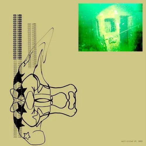 **Nuevo disco de vinilo de vinilo