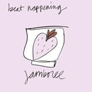 Beat Happening - Jamboree - Vinyl Record rockit-t-shirts.myshopify.com #Indie_Vinyl_Den#