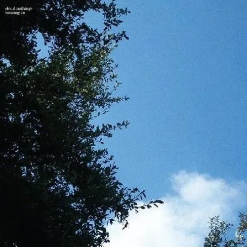 Cloud Nothings - Turning On - Westlake Water Colot Vinyl Record