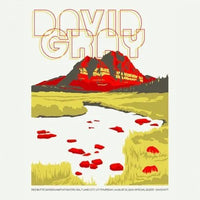 DAVID GRAY - 2014 Salt Lake City Gig Poster rockit-t-shirts.myshopify.com #Indie_Vinyl_Den#