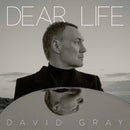 David Gray - Dear Life - Seaweed Green Color Vinyl Record rockit-t-shirts.myshopify.com #Indie_Vinyl_Den#