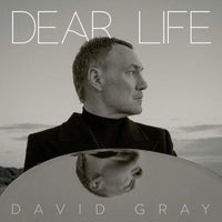 David Gray - Dear Life - Seaweed Green Color Vinyl Record rockit-t-shirts.myshopify.com #Indie_Vinyl_Den#