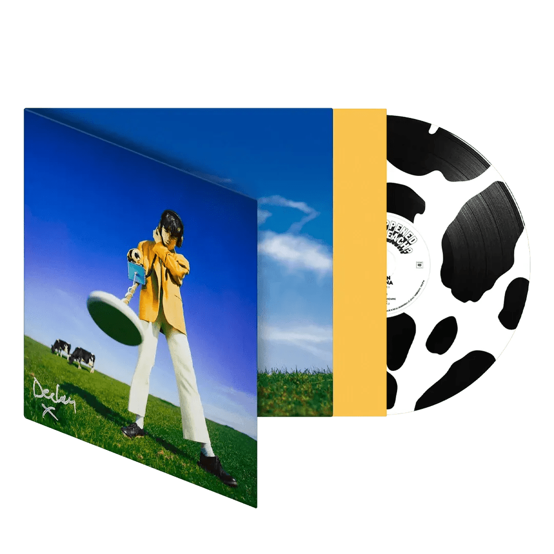 Declan McKenna - What Happened To the Beach? - "moo" Picture Disc Vinyl Import rockit-t-shirts.myshopify.com