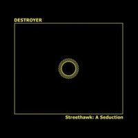 Destroyer - Streethawk : A Seduction rockit-t-shirts.myshopify.com #Indie_Vinyl_Den#