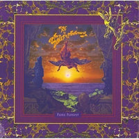 Dukes of Stratosphear (XTC) - Psonic Psunspot - Vinyl Record 1LP 200g Import rockit-t-shirts.myshopify.com #Indie_Vinyl_Den#