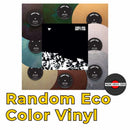 Songs: Ohia - Didn't It Rain - Eco Color Vinyl Record