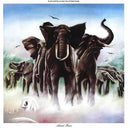 Elvis Costello  - Armed Forces - Vinyl Record 180g rockit-t-shirts.myshopify.com #Indie_Vinyl_Den#