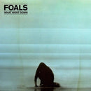 Foals - What Went Down (10th Anniversary) - Coke Bottle Green Smoke Color Vinyl Record * - Indie Vinyl Den