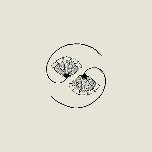 Godspeed You! Black Emperor - G_d's Pee AT STATE'S END! - Vinyl Record + 10" rockit-t-shirts.myshopify.com #Indie_Vinyl_Den#