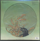 Grateful Dead - Wake Of The Flood - PIcture Disc Vinyl Record rockit-t-shirts.myshopify.com #Indie_Vinyl_Den#