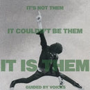 Guided By Voices - It's Not Them. It Couldn't Be Them. It Is Them! Vinyl Record LP rockit-t-shirts.myshopify.com #Indie_Vinyl_Den#