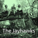 Jayhawks - Tomorrow The Green Grass - Vinyl record LP rockit-t-shirts.myshopify.com #Indie_Vinyl_Den#
