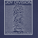Joy Division Unknown Pleasures Frame T-Shirt rockit-t-shirts.myshopify.com #Indie_Vinyl_Den#