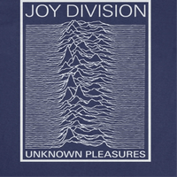 Joy Division Unknown Pleasures Frame T-Shirt rockit-t-shirts.myshopify.com #Indie_Vinyl_Den#