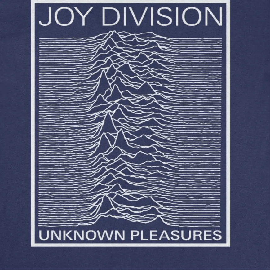 Joy Division Unknown Pleasures Frame T-Shirt rockit-t-shirts.myshopify.com #Indie_Vinyl_Den#