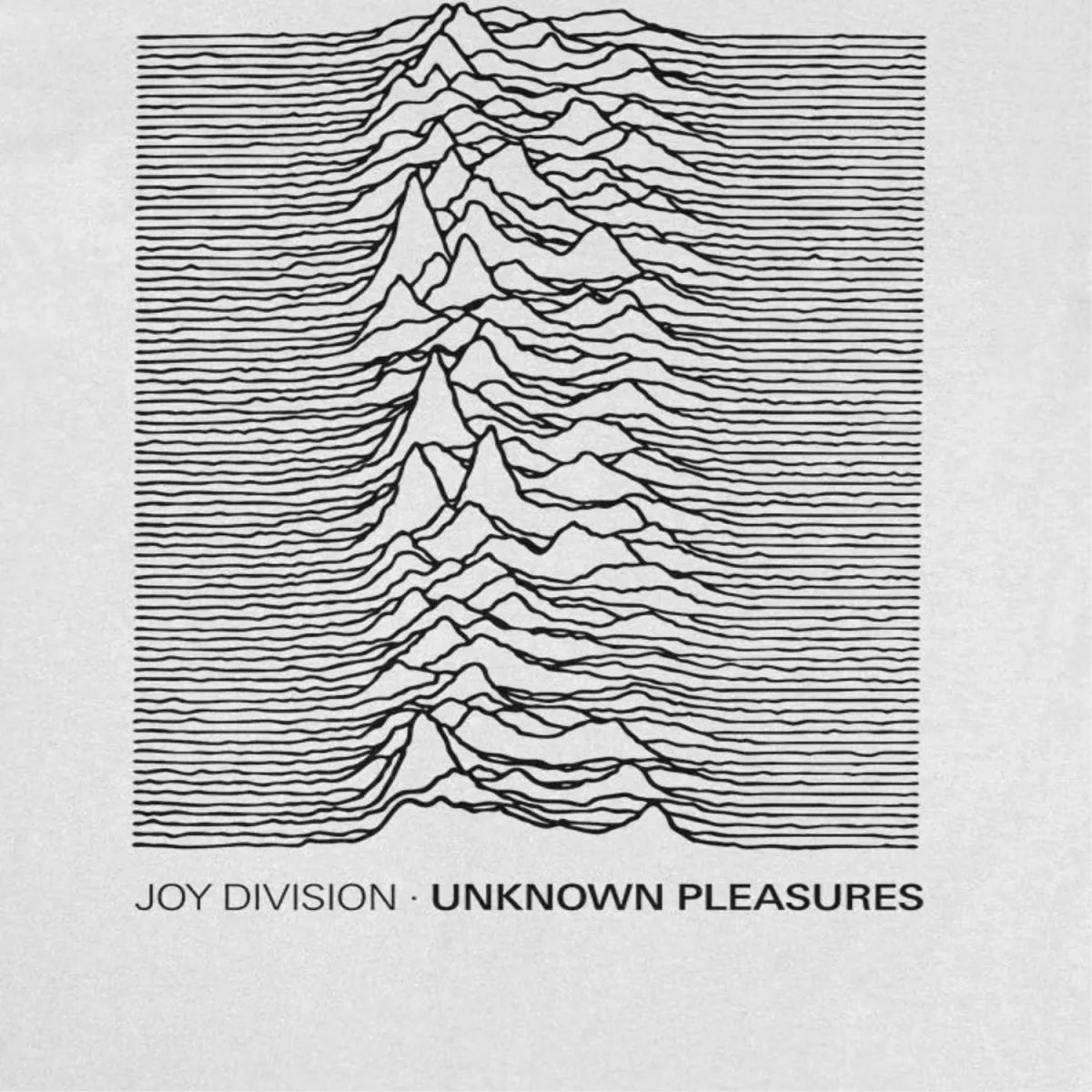Joy Division Unknown Pleasures Text T-Shirt