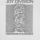 Joy Division Unknown Pleasures Titles T-Shirt rockit-t-shirts.myshopify.com #Indie_Vinyl_Den#