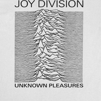 Joy Division Unknown Pleasures Titles T-Shirt rockit-t-shirts.myshopify.com #Indie_Vinyl_Den#