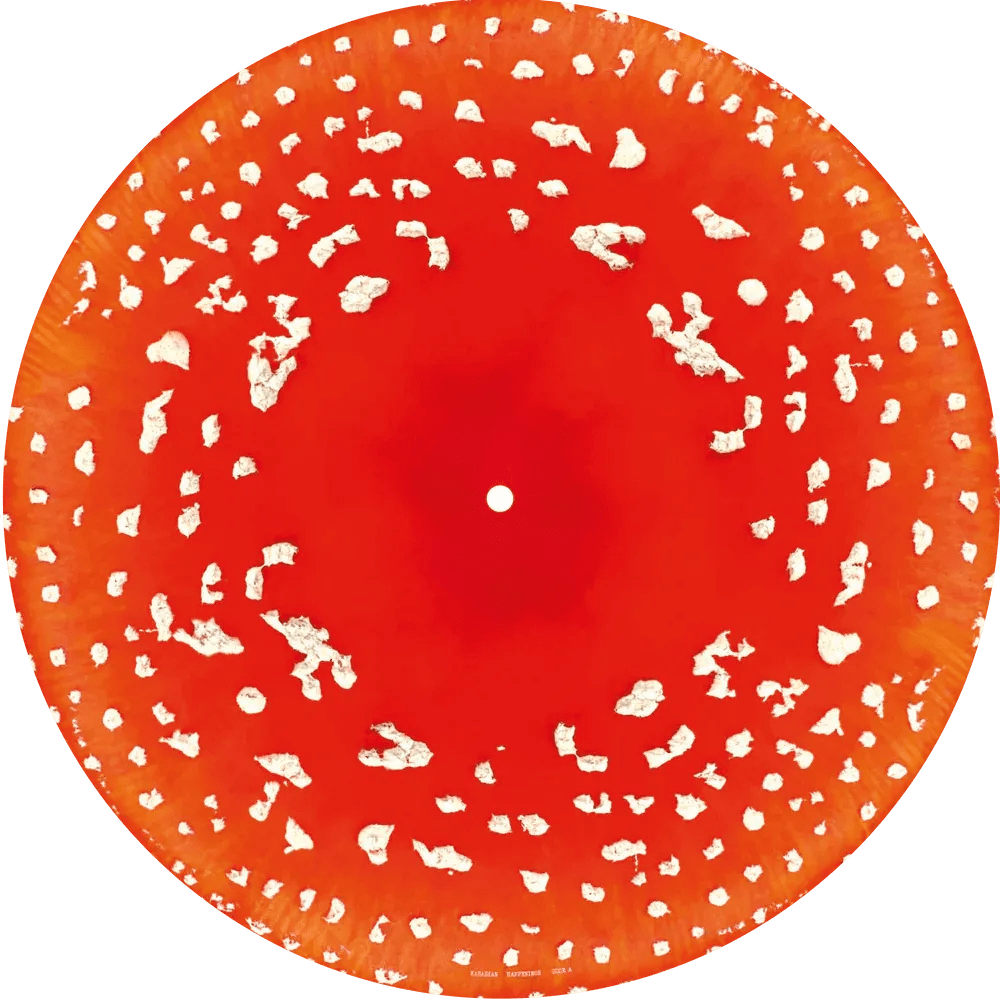 Kasabian - Happenings - Trippy Shroom Edition Picture Disc Vinyl Record rockit-t-shirts.myshopify.com #Indie_Vinyl_Den#
