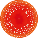 Kasabian - Happenings - Trippy Shroom Edition Picture Disc Vinyl Record rockit-t-shirts.myshopify.com #Indie_Vinyl_Den#