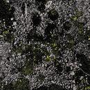 King Gizzard & The Lizard Wizard - Infest The Rats Nest (Live) - Glow-in-the-dark Green Color Vinyl rockit-t-shirts.myshopify.com #Indie_Vinyl_Den#