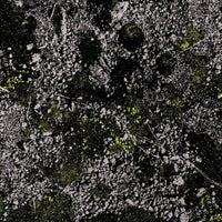 King Gizzard & The Lizard Wizard - Infest The Rats Nest (Live) - Glow-in-the-dark Green Color Vinyl rockit-t-shirts.myshopify.com #Indie_Vinyl_Den#