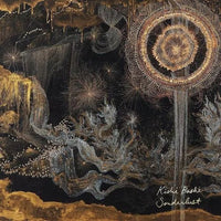 Kishi Bashi - Sonderlust - Vinyl Record LP rockit-t-shirts.myshopify.com #Indie_Vinyl_Den#