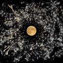 Lisa O'Neill - All Of This Is Chance - Vinyl Record rockit-t-shirts.myshopify.com #Indie_Vinyl_Den#