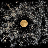 Lisa O'Neill - All Of This Is Chance - Vinyl Record rockit-t-shirts.myshopify.com #Indie_Vinyl_Den#