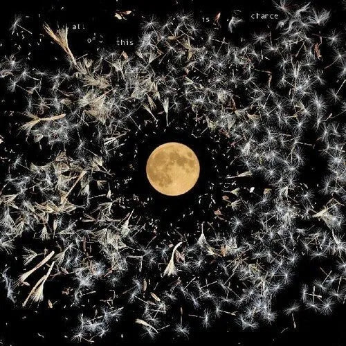 Lisa O'Neill - All Of This Is Chance - Vinyl Record rockit-t-shirts.myshopify.com #Indie_Vinyl_Den#