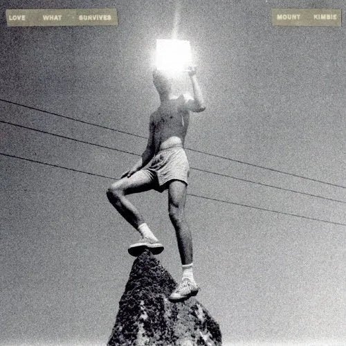 Mount Kimbie - Love What Survives - Vinyl Record