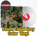 Pale Jay - Low End Love Songs  - Storm Cloud Grey Color Vinyl Record rockit-t-shirts.myshopify.com #Indie_Vinyl_Den#