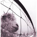 Pearl Jam - VS. - 30th Anniversary Clear Color Vinyl Record rockit-t-shirts.myshopify.com #Indie_Vinyl_Den#