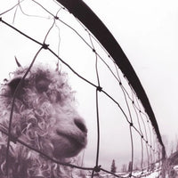 Pearl Jam - VS  30th Anniversary- 180g 2LP 45RPM Vinyl Record rockit-t-shirts.myshopify.com #Indie_Vinyl_Den#