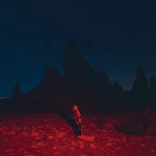 Phoebe Bridgers - Punisher Vinyl Record