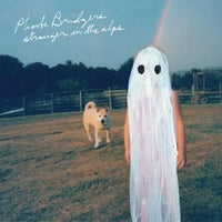 Phoebe Bridgers - Stranger In The Alps Vinyl Record rockit-t-shirts.myshopify.com #Indie_Vinyl_Den#