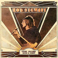 Rod Stewart - Every Picture Tells A Story - Vinyl Record 180g rockit-t-shirts.myshopify.com #Indie_Vinyl_Den#