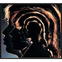 Rolling Stones - Hot Rocks 1964-1971 Vinyl Record 2LP rockit-t-shirts.myshopify.com #Indie_Vinyl_Den#