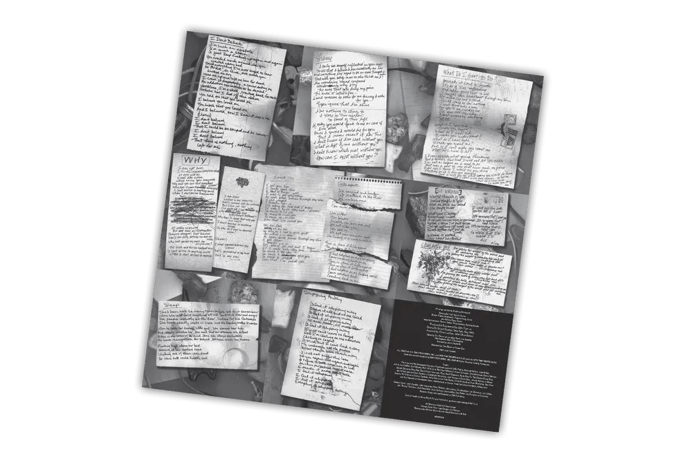 STABBING WESTWARD - Wither Blister Burn + Peel Vinyl Record 180g Import rockit-t-shirts.myshopify.com #Indie_Vinyl_Den#