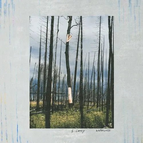 **Nuevo disco de vinilo de vinilo