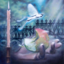 Sea Lemon - Diving For A Prize -  Vinyl Record rockit-t-shirts.myshopify.com #Indie_Vinyl_Den#