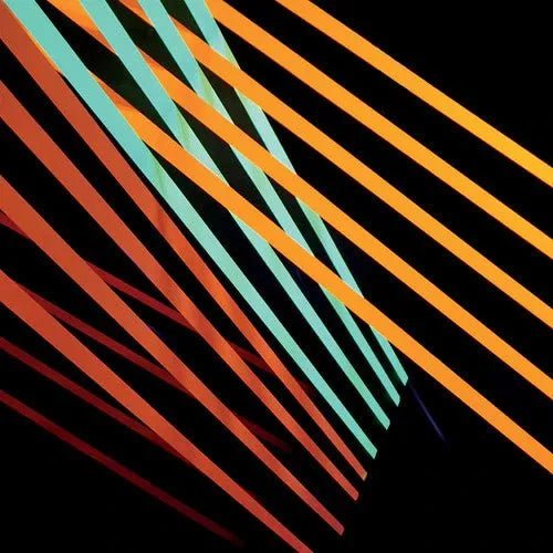 Shit Robot - What Follows - Vinyl Record