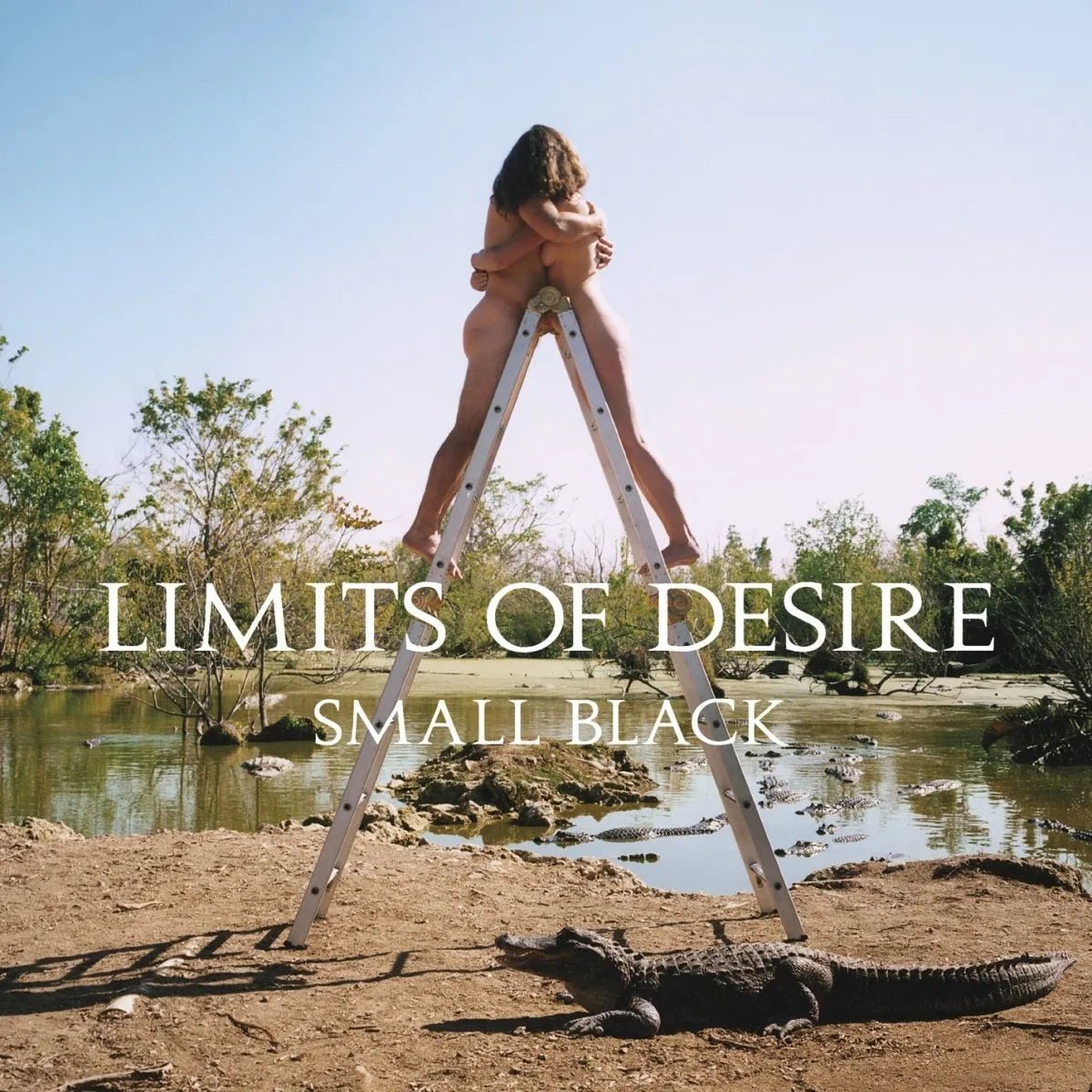 Small Black - Limits of Desire (10th Anniversary Edition) - Coke Bottle Clear Vinyl